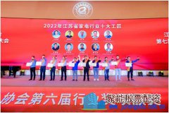 业务能手 苏宁易购凡金洲