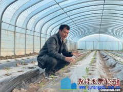 新疆英吉沙县：2.1亿株辣椒苗陆续出棚